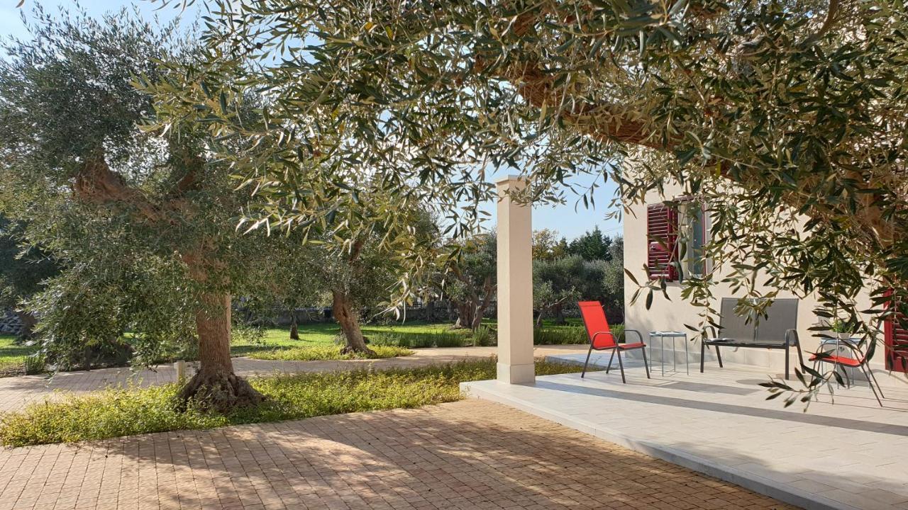 Tra Gli Ulivi Villa Putignano Eksteriør bilde